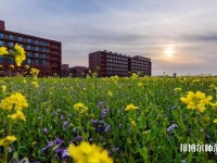 南開師范大學津南校區(qū)2023年學費、收費多少