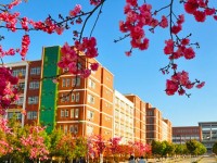 云南經濟管理師范學院海源校區(qū)歷年錄取分數線