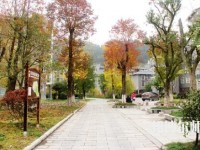 吉首師范大學(xué)張家界學(xué)院2023年學(xué)費、收費多少