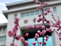 延安大學(xué)師范學(xué)院楊家?guī)X校區(qū)2023年學(xué)費(fèi)、收費(fèi)多少
