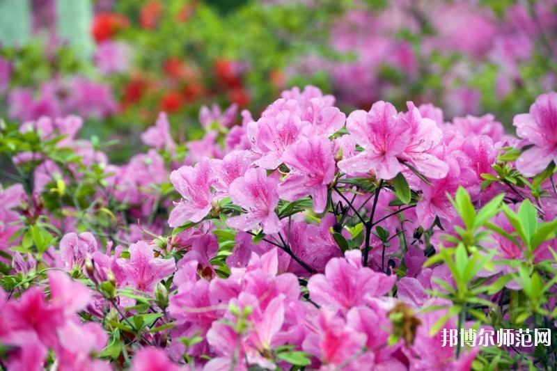 廈門(mén)城市師范職業(yè)學(xué)院