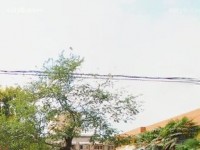 西安職業(yè)中等幼師專業(yè)學校2023年報名條件、招生要求、招生對象