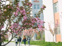 渭南職業(yè)技術(shù)師范學(xué)院朝陽(yáng)校區(qū)2023年學(xué)費(fèi)、收費(fèi)多少