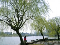 金華職業(yè)技術(shù)師范學(xué)院2023年學(xué)費(fèi)、收費(fèi)多少