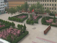 正定幼師職業(yè)技術(shù)教育中心2021年招生辦聯(lián)系電話(huà)
