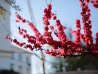 山東威海藝術(shù)幼兒師范學校2023年學費、收費多少