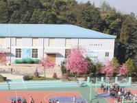 云南林業(yè)幼兒師范高級(jí)技工學(xué)校2023年學(xué)費(fèi)、收費(fèi)多少