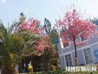云南林業(yè)幼兒師范高級技工學校2023年網(wǎng)站網(wǎng)址