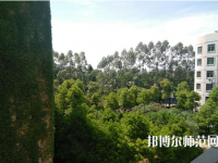 江西中專幼師學(xué)?？梢钥即髮? /><b>江西中專幼師學(xué)?？梢钥即髮?/b><span>2019-09-12 10:09</span><p>如果現(xiàn)在是中專學(xué)歷的話，可以選擇一所大專院校參加學(xué)校的對口升學(xué)考試，要知道現(xiàn)在的中專學(xué)歷就相當(dāng)于高中學(xué)歷的，所以還是要找</p></a></li>
            <li><a href=