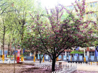石家莊法商幼兒師范中等專業(yè)學校2023年報名條件、招生要求、招生對象