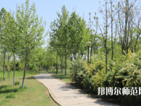 石家莊中英航空幼兒師范中等專(zhuān)業(yè)學(xué)校2023年怎么樣、好不好