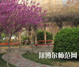 鄭州2020年幼師學(xué)?？梢詫W(xué)什么