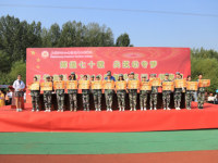 石家莊幼兒師范高等?？茖W(xué)校2023年是幾專