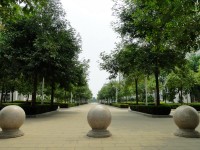 廣西現(xiàn)代職業(yè)技術(shù)師范學(xué)院2023年報(bào)名條件、招生要求、招生對(duì)象