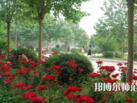 河南科技職業(yè)師范大學(xué)2023年報名條件、招生要求、招生對象