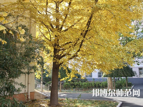 北京京北職業(yè)師范技術(shù)學(xué)院2023年報(bào)名條件、招生要求、招生對(duì)象