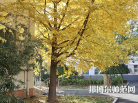 北京京北職業(yè)師范技術(shù)學(xué)院2023年報名條件、招生要求、招生對象
