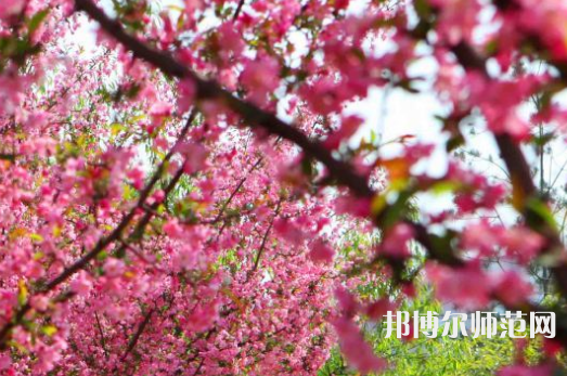 鄭州大學師范學院主校區(qū)2023年報名條件、招生要求、招生對象