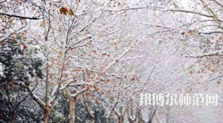 鄭州航空工業(yè)管理師范學(xué)院2023年報(bào)名條件、招生要求、招生對象
