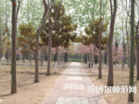 濮陽職業(yè)技術(shù)師范學院2023年報名條件、招生要求、招生對象