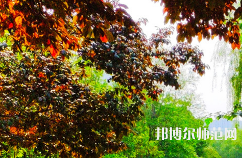 河南大學師范學院金明校區(qū)2023年怎么樣、好不好