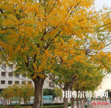 榆林職業(yè)技術師范學院2023年怎么樣、好不好