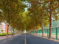 聊城師范大學(xué)東昌學(xué)院2023年報(bào)名條件、招生要求、招生對(duì)象