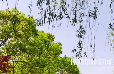 南陽理工師范學(xué)院2023年報(bào)名條件、招生要求、招生對(duì)象