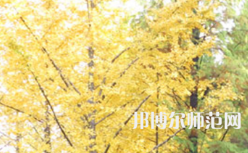信陽師范學(xué)院2023年怎么樣、好不好