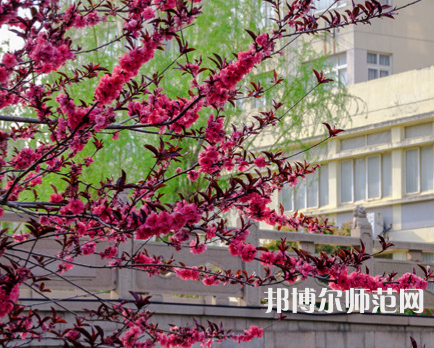 蘇州科技師范大學(xué)天平學(xué)院2023年報(bào)名條件、招生要求、招生對(duì)象