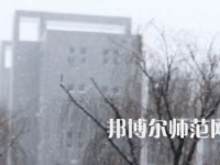 焦作師范高等?？茖W(xué)校2023年招生代碼
