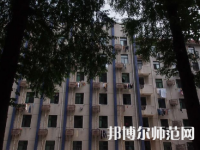 安徽大學師范學院龍河校區(qū)2023年有哪些專業(yè)