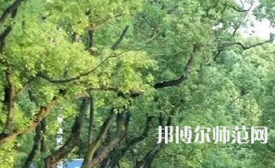 湖南理工師范學(xué)院南湖學(xué)院2023年報(bào)名條件、招生要求、招生對(duì)象