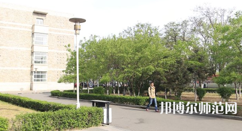 遼寧大學(xué)師范學(xué)院崇山校區(qū)2023年有哪些專(zhuān)業(yè)
