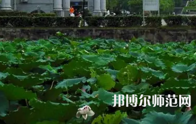 南華師范大學(xué)紅湘校區(qū)2023年報(bào)名條件、招生要求、招生對象
