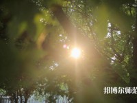 咸陽(yáng)職業(yè)技術(shù)師范學(xué)院2023年報(bào)名條件、招生要求、招生對(duì)象