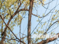 湖南大學(xué)師范學(xué)院南校區(qū)2023年怎么樣、好不好