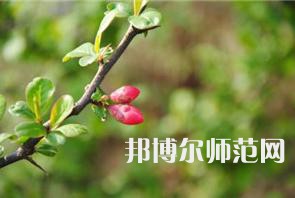 西安幼兒師范職業(yè)學(xué)校2023年學(xué)費(fèi)、收費(fèi)多少