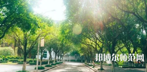 重慶師范大學(xué)涉外商貿(mào)學(xué)院合川校區(qū)2023年報名條件、招生要求、招生對象 