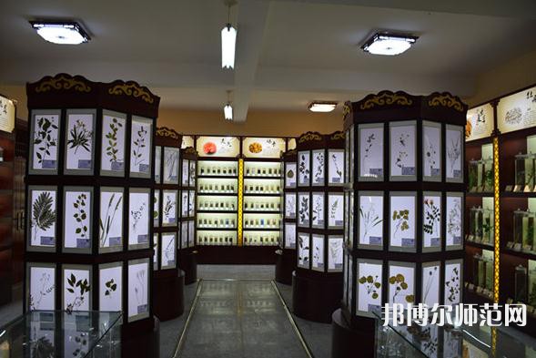 銅川職業(yè)技術(shù)師范學(xué)院2023年學(xué)費(fèi)、收費(fèi)多少