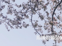 湖南第一師范學(xué)院城南書院校區(qū)2023年學(xué)費、收費多少