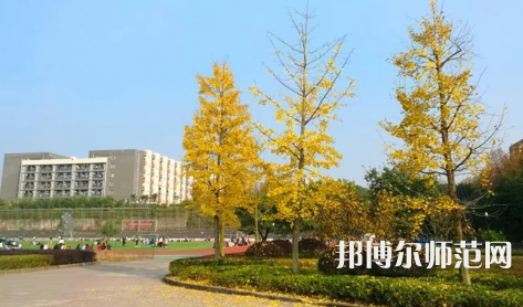 重慶幼兒師范高等專科學校梨園校區(qū)2023年是幾本