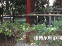 湖南師范大學(xué)樹(shù)達(dá)學(xué)院2023年有哪些專業(yè)
