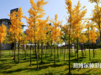 瀘州幼師職業(yè)技術(shù)學校2023年學費、收費多少