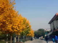 西北師范大學(xué)2023年怎么樣、好不好