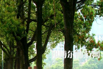 衡陽師范學(xué)院南岳學(xué)院2023年怎么樣、好不好