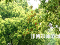 衡陽師范學(xué)院南岳學(xué)院2023年怎么樣、好不好