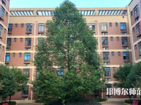 四川師范大學(xué)成都學(xué)院眉山校區(qū)2023年怎么樣、好不好